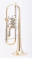 Mobile Preview: B-Trompete LIDL LTR745 - Premium in Goldmessing