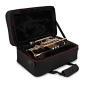 Preview: B-Cornett BESSON PRODIGE BE120 lackiert