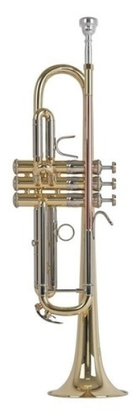 B-Trompete Vincent Bach TR450