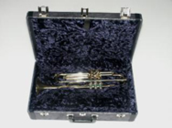 Koffer KOFFER für Trompete 198