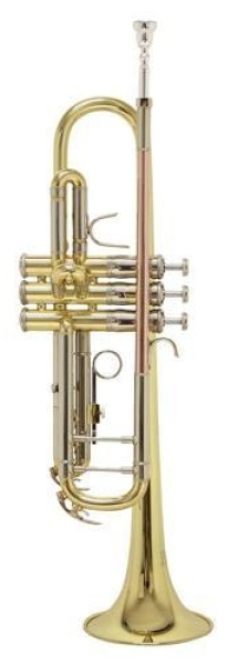B-Trompete Bach TR501